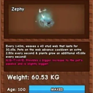 60KG GHOSTLY SPIDER NM