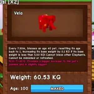 60KG RBH ELEPHANT NM