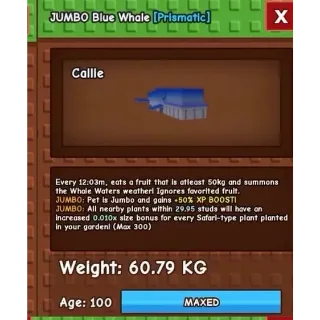 60KG BLUE WHALE DLC PET RAREST PET 