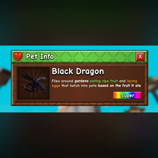 1X BLACK DRAGON NORMAL