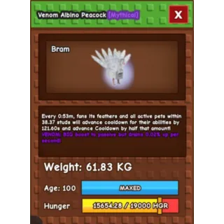 61KG ALBINO PEACOCK DLC PET RARE