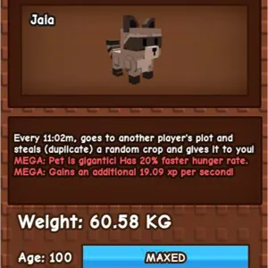 60KG RACCOON NIGHTMARE