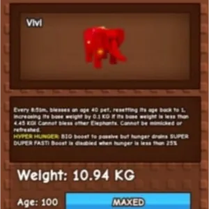 10KG RBH ELEPHANT HH
