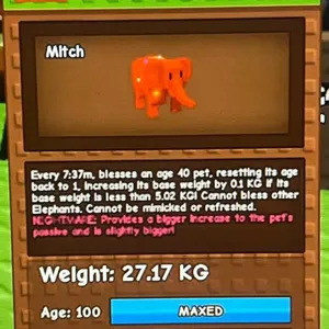 27KG RAINBOW HATCH ELE