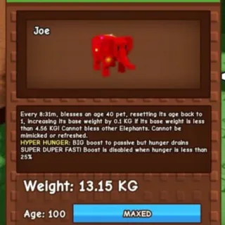 13KG RBH ELEPHANT HH