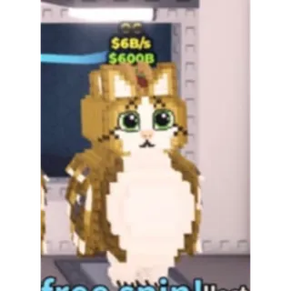 6B MEOWL TACO MEOWL TRAIT