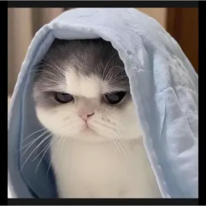 BUNDLE BOOSTIN