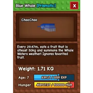 BLUE WHALE CHEAPEST