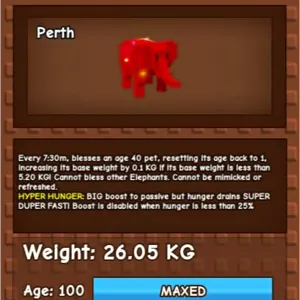 26KG RBH ELEPHANT HH