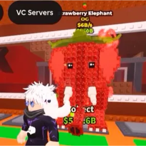 STRAWBERRY ELEPHANT 6B/s