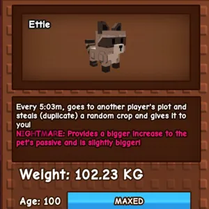 102KG RACCOON NIGHTMARE