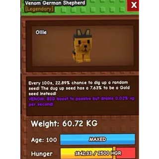 60KG GERMAN SHEPERD SHEPHERD VENOM