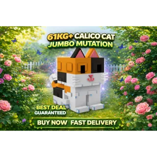 61 KG CALICO CAT JUMBO