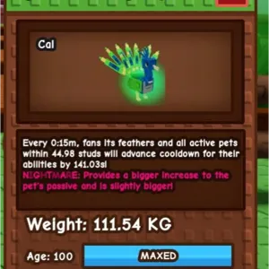 111KG PEACOCK NIGHTMARE