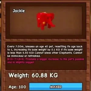 60KG RAINBOW HATCH ELE