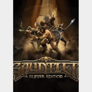 Gauntlet - Slayer Edition (PC) Steam Key GLOBAL