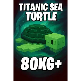 HUGE TITANIC NIGHTMARE SEA TURTLE 80-100kg+