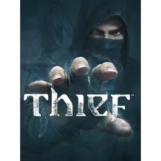 Thief ( Argentina region code/