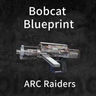 Bobcat Blueprint