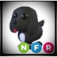 Royal palace spaniel NFR