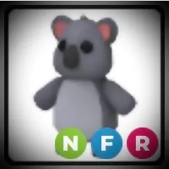 NFR Koala 