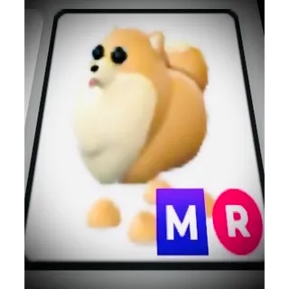 Pomeranian Mega Neon Rideable 