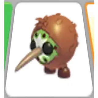 Kiwi kiwi 