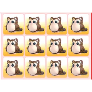 12X Purrowl Bundle 