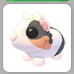 TORTOISESHELL GUINEA PIG NO POTION 