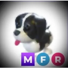 MFR BLACK SPRINGER SPANIEL