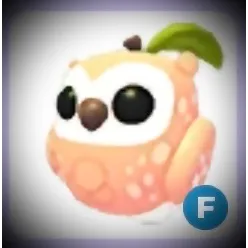 Peach Owl Flyable 