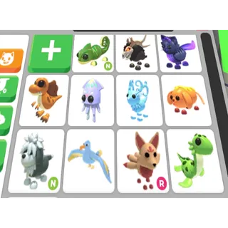 11X Pets Bundle 