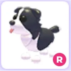 Border Collie Rideable 