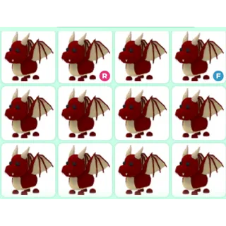 12X Dragon Bundles