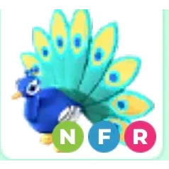 NFR PEACOCK