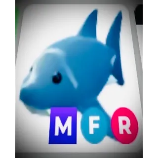 MFR SHARK 