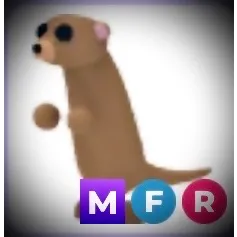 MFR Meerkat 