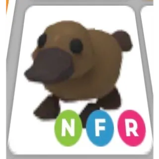 NFR PLATYPUS 
