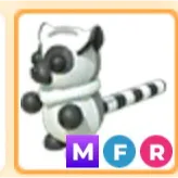 Mega ring tailed Lumer