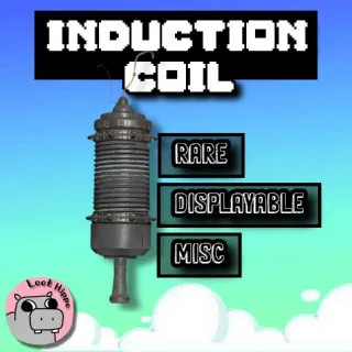 Induction Coil