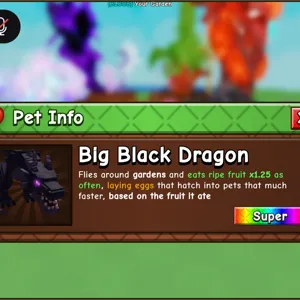 Big black dragon