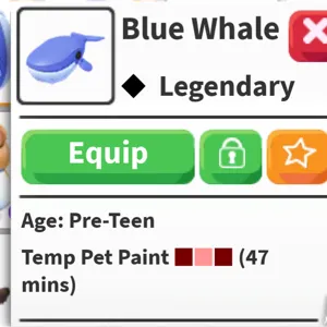 1x Blue Whale