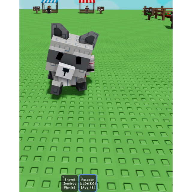 Raccoon ( Age 45-50 ) - Grow A Garden | gag - Other Game Item