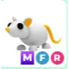 MFR GOLDEN RAT