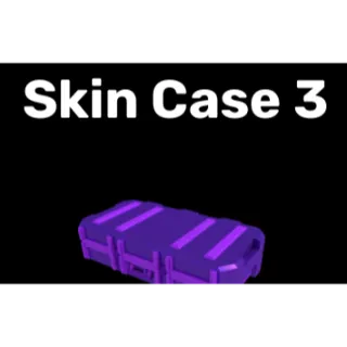 X3 Skin Case 3 [724R]