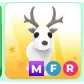 MFR ARCTIC REINDEER