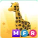 MFR GIRAFFE