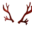 Limited | Adurite Antlers