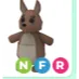 NFR KANGAROO