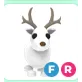 FR ARCTIC REINDEER